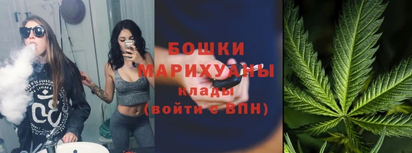 гашик Дмитров