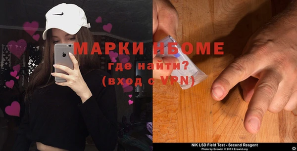 гашик Дмитров