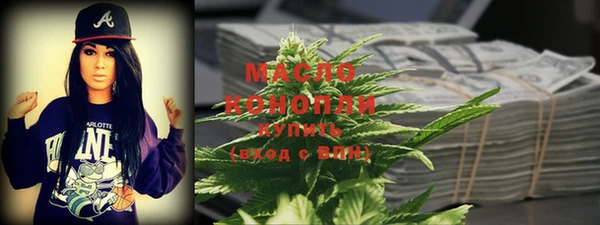 гашик Дмитров