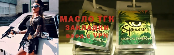 гашик Дмитров