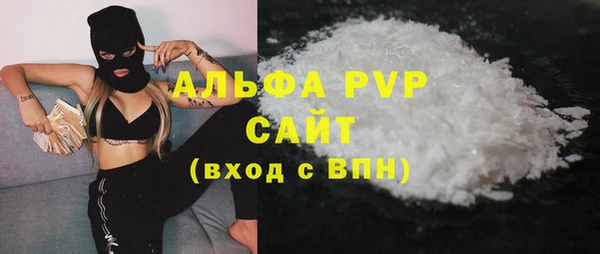 гашик Дмитров