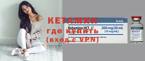 гашик Дмитров