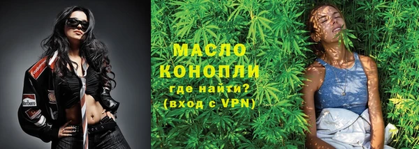 гашик Дмитров