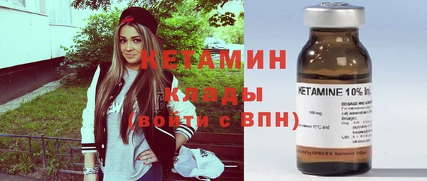 гашик Дмитров