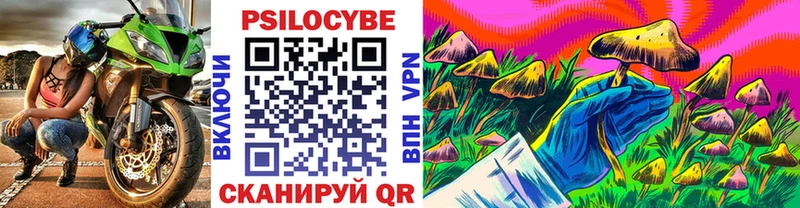 наркотики  Звенигород  Псилоцибиновые грибы мицелий 